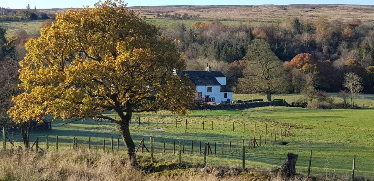 Lower Turnerford Farmhouse Newby  Exteriör bild
